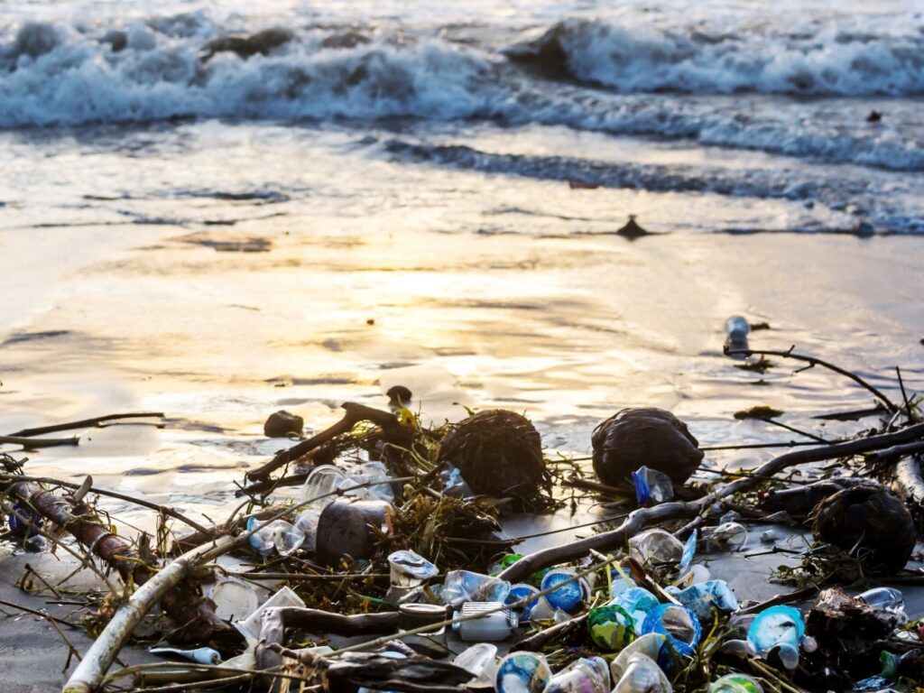Microplastics Research
